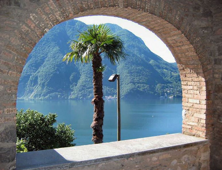 Palmtree at the Church of Lugano-Castagnola